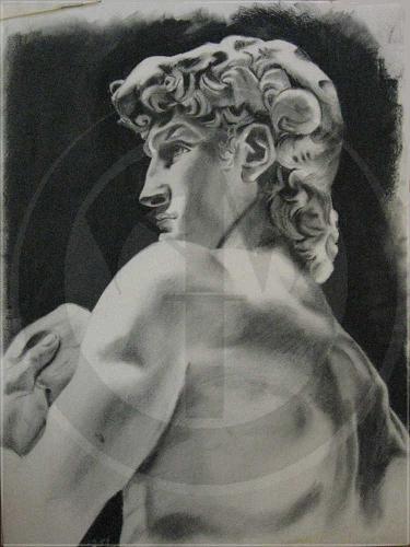 Study of Michaelangelo David